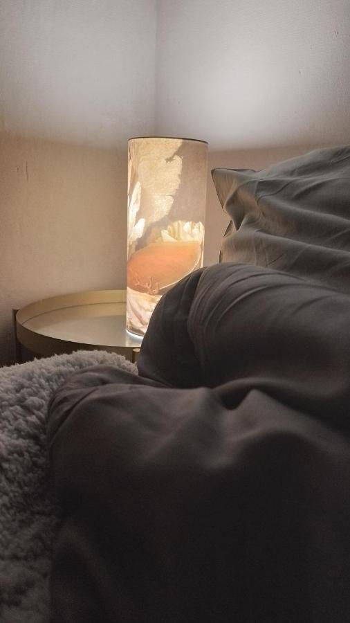 Charmante Chambre Spacieuse Et Lumineuse باريس المظهر الخارجي الصورة
